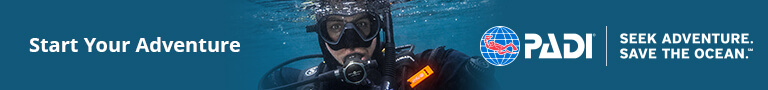 PADI Open Water Diver Course Banner