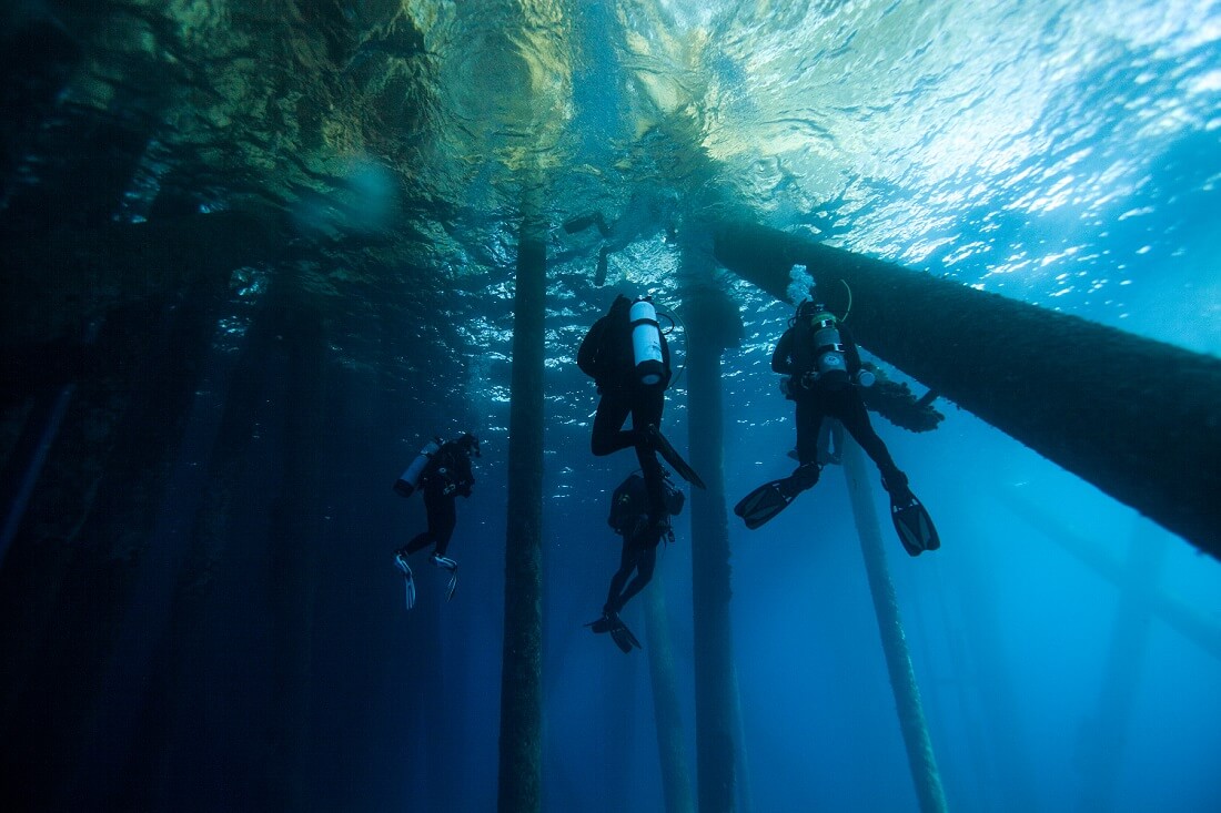 PADI Open Water You Can